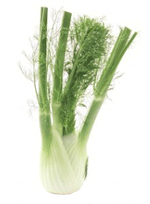 fennel