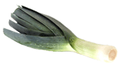 leek