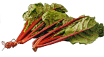 swiss chard